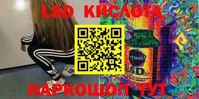 эйфоретик Донской
