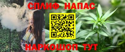 молекула духа Донецк