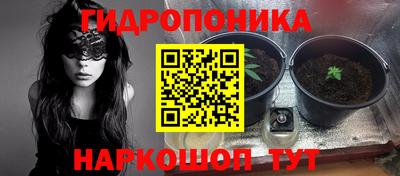 молекула духа Донецк