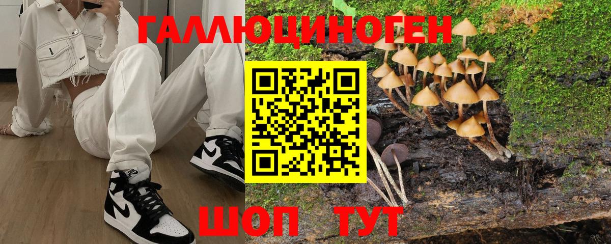 Галлюциногенные грибы Psilocybine cubensis Красноперекопск